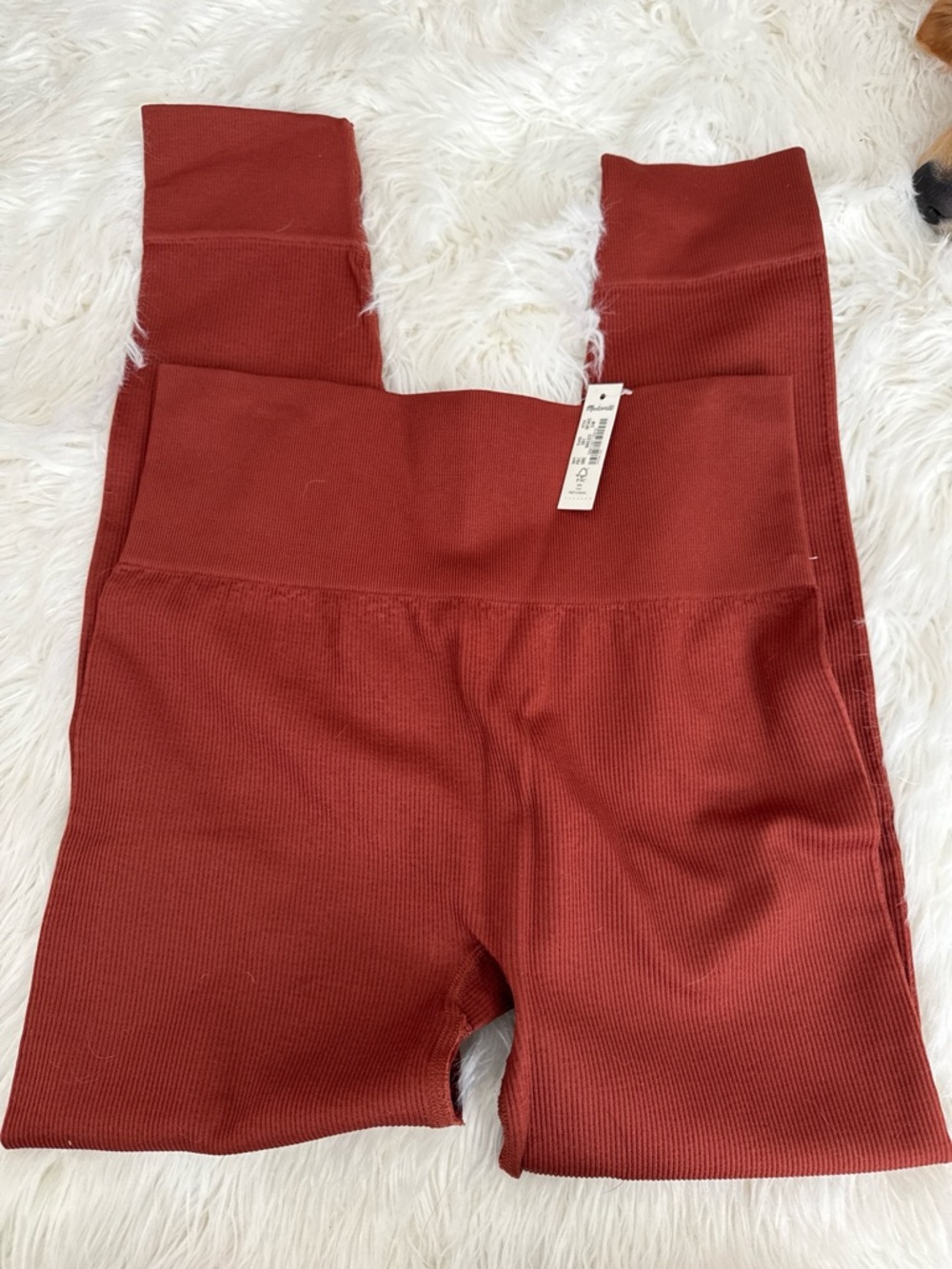 Madewell Ribbed High-Waist Leggings - Terracotta
